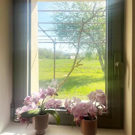 Villa Le Petit Cabanon Provencal