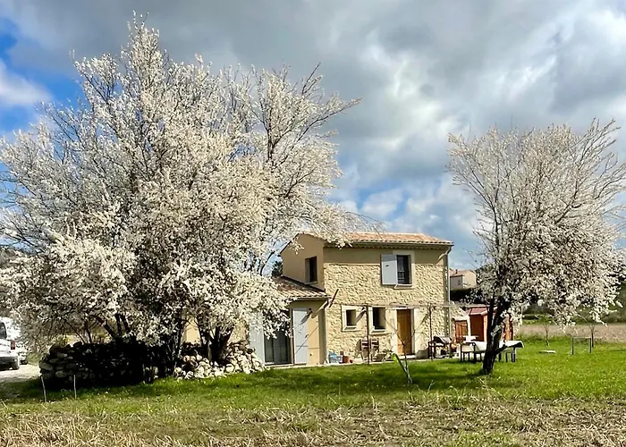 Le Petit Cabanon Provencal *