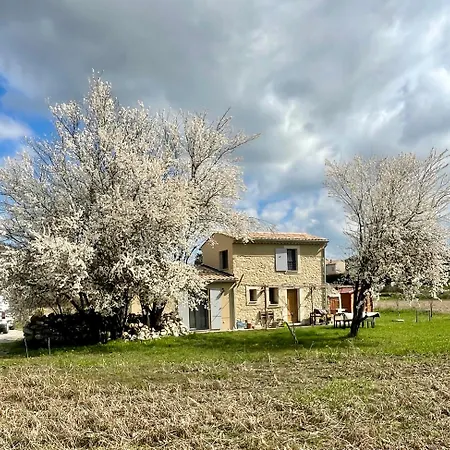 Le Petit Cabanon Provencal *